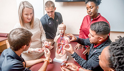 Students standing around an anatomical model of a human body and discussing with each other.