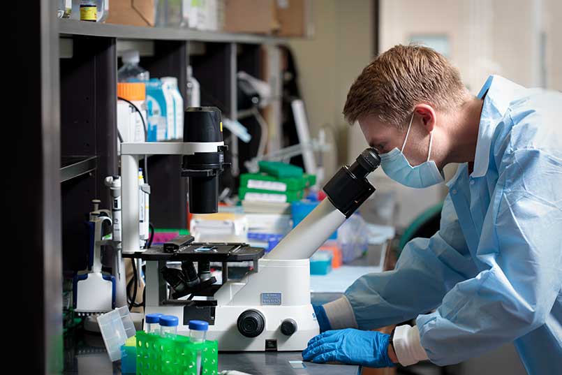 Student researcher looks into a microscope in the ITOR lab.